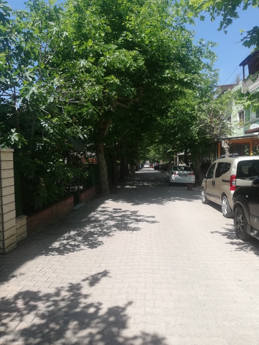 Fırat