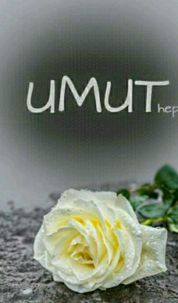 UMUT