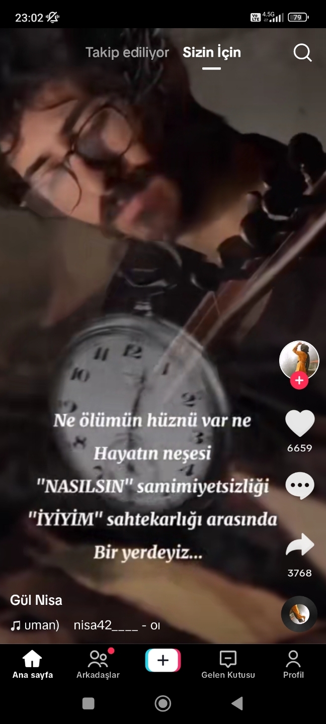 Birsen