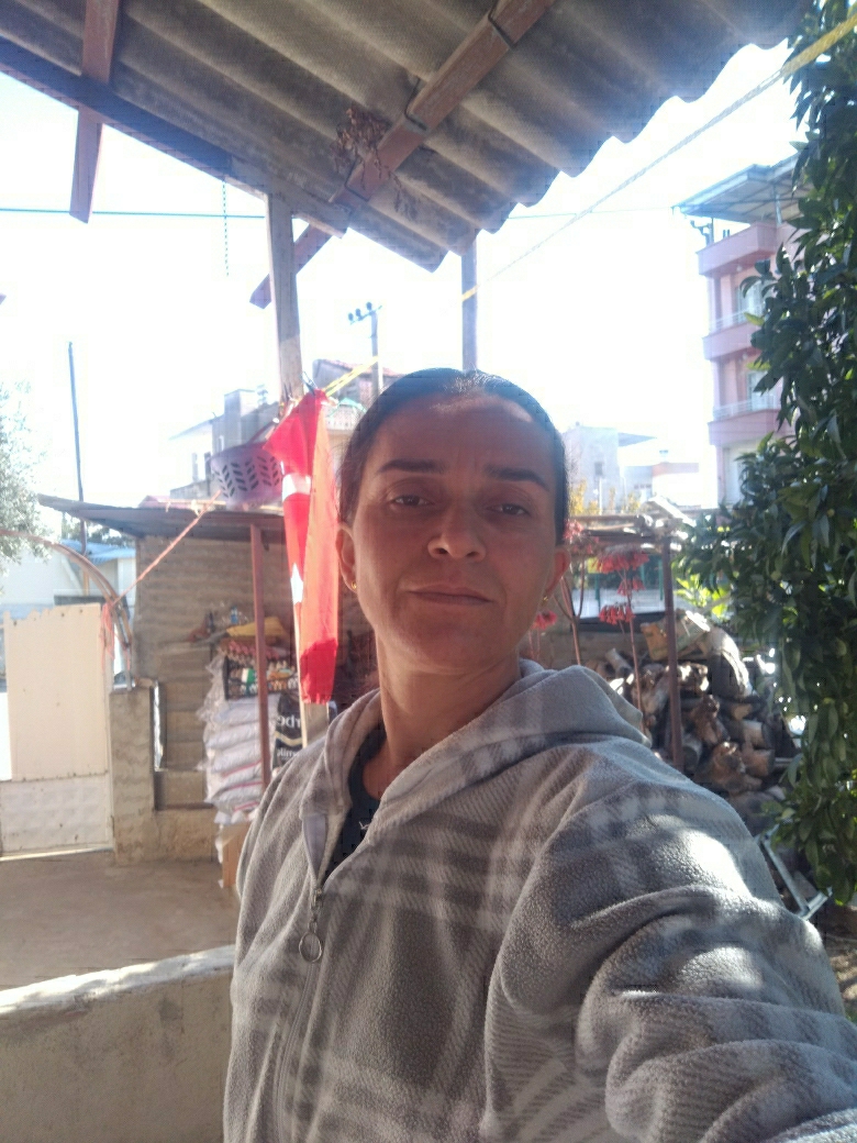 Mesude