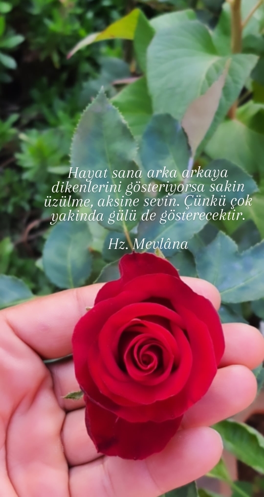 Kahraman