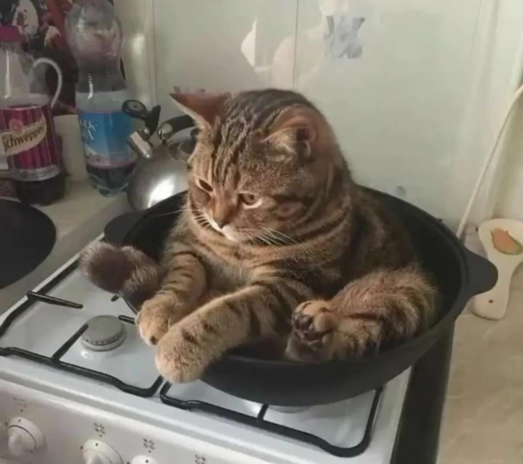 Mmm