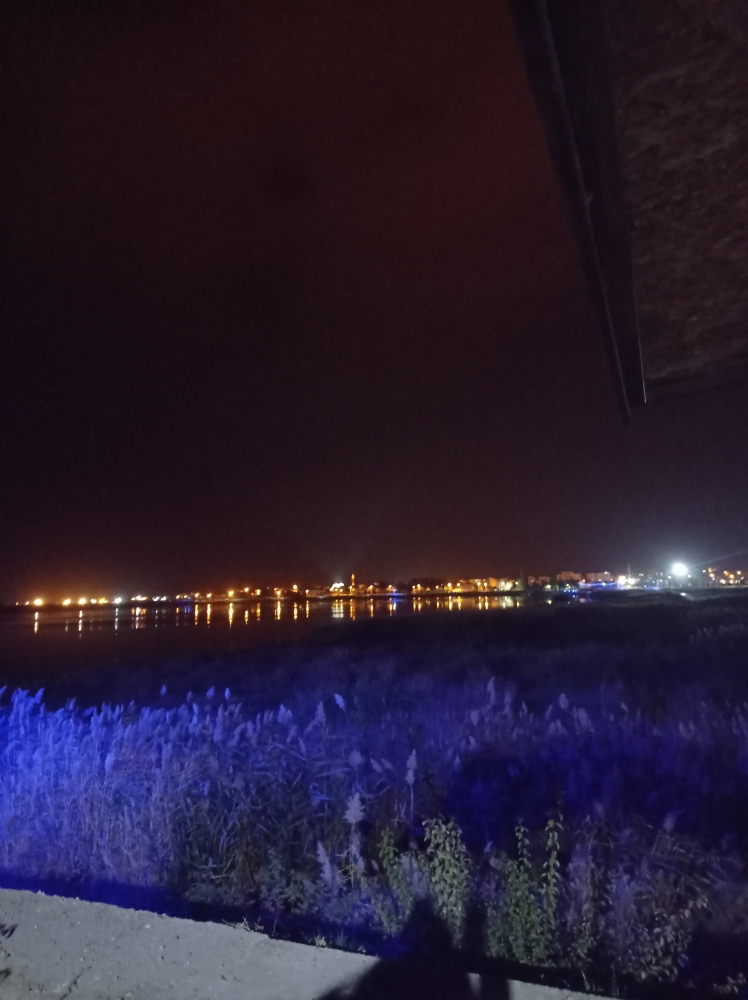 Yaprak