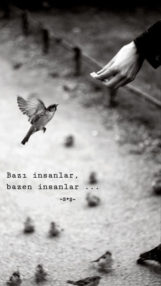 Melek