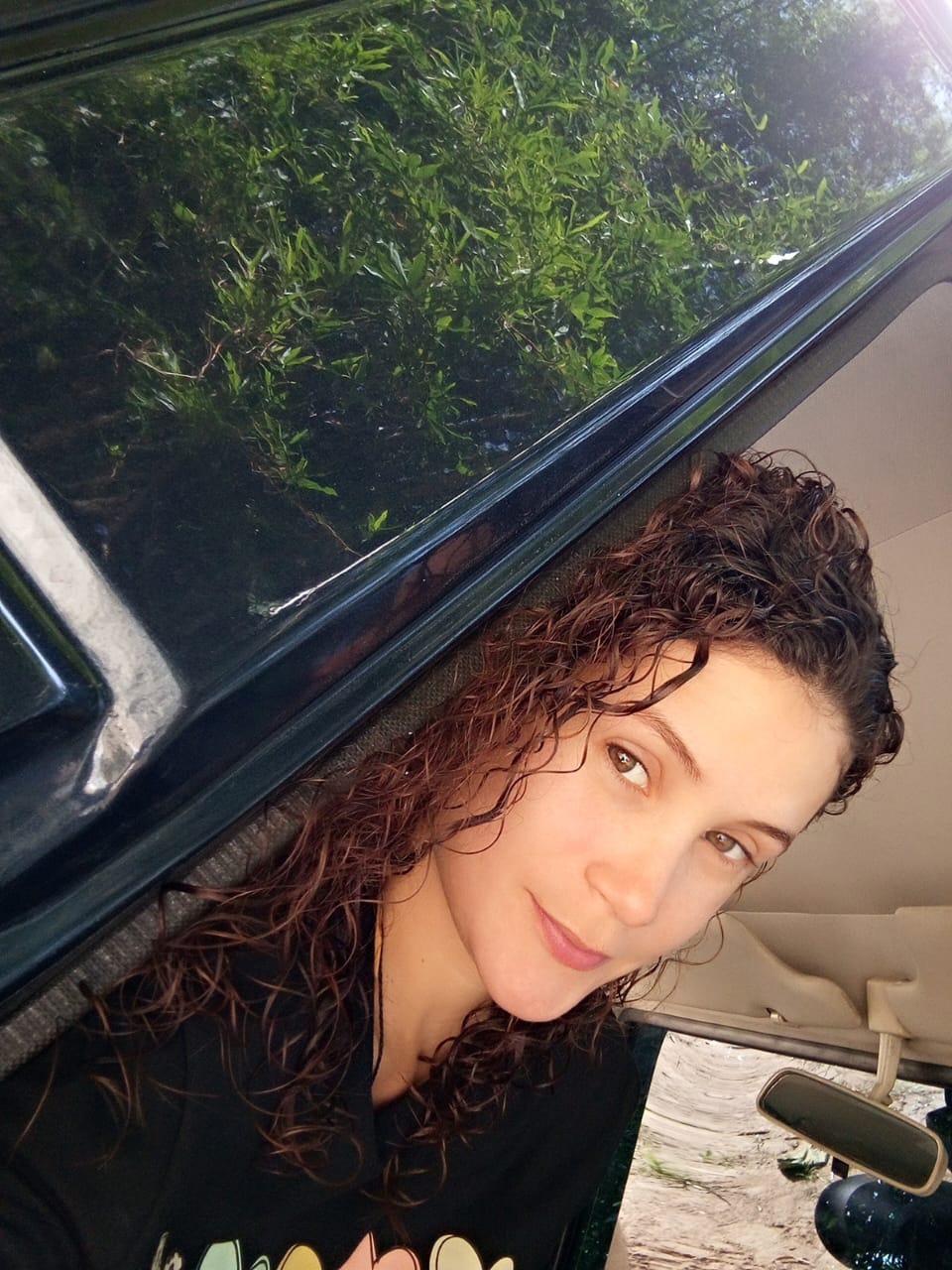 Lis