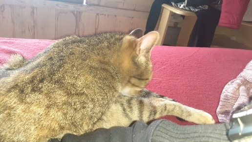 Julio