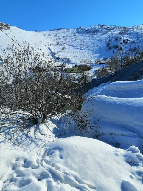 Özgür
