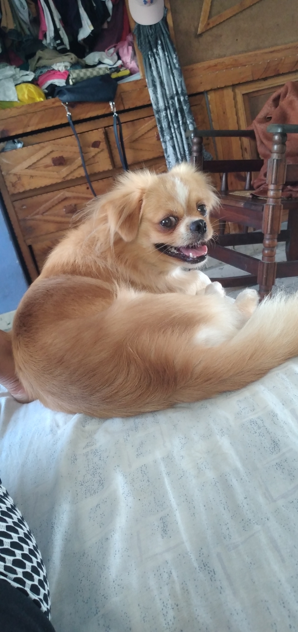 Yuya