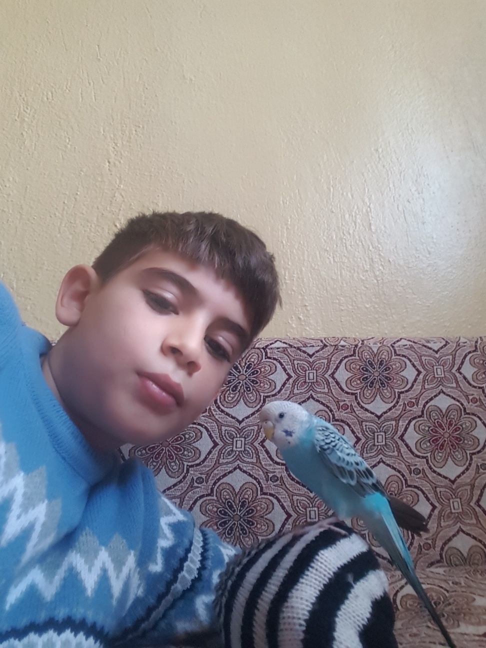 Evran