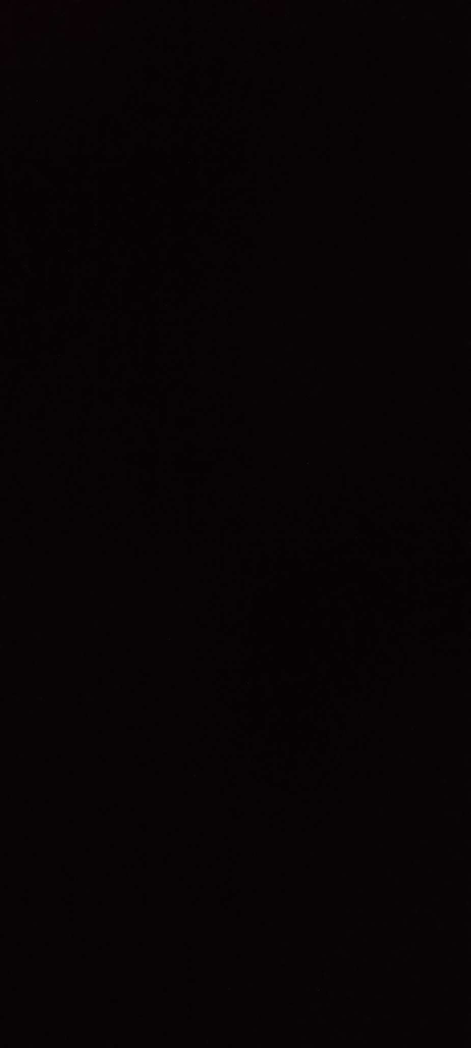 حسن