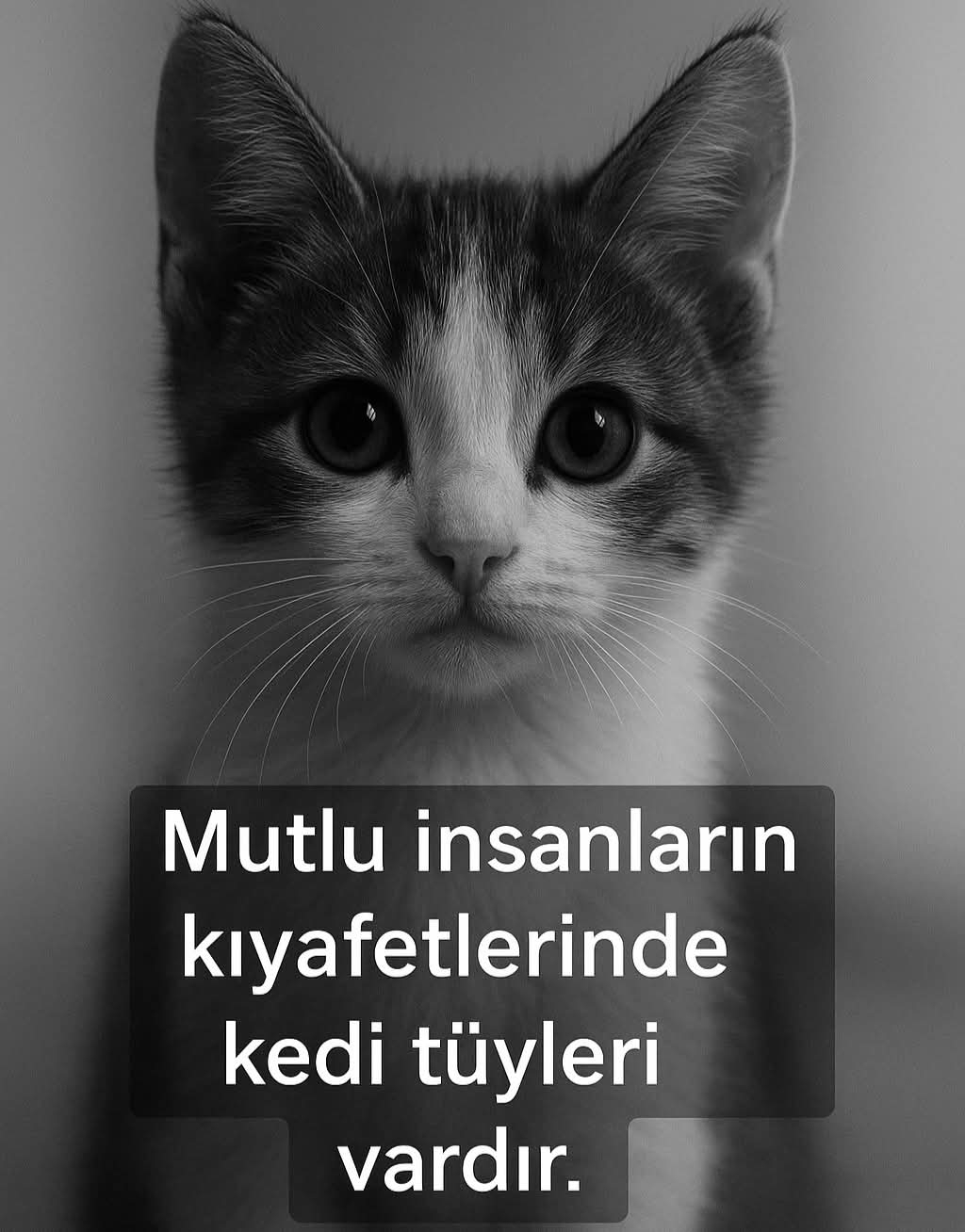 Deniz