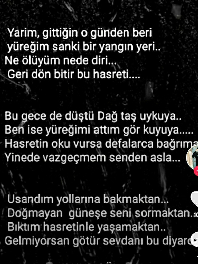 Sebo
