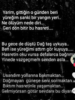 Sebo