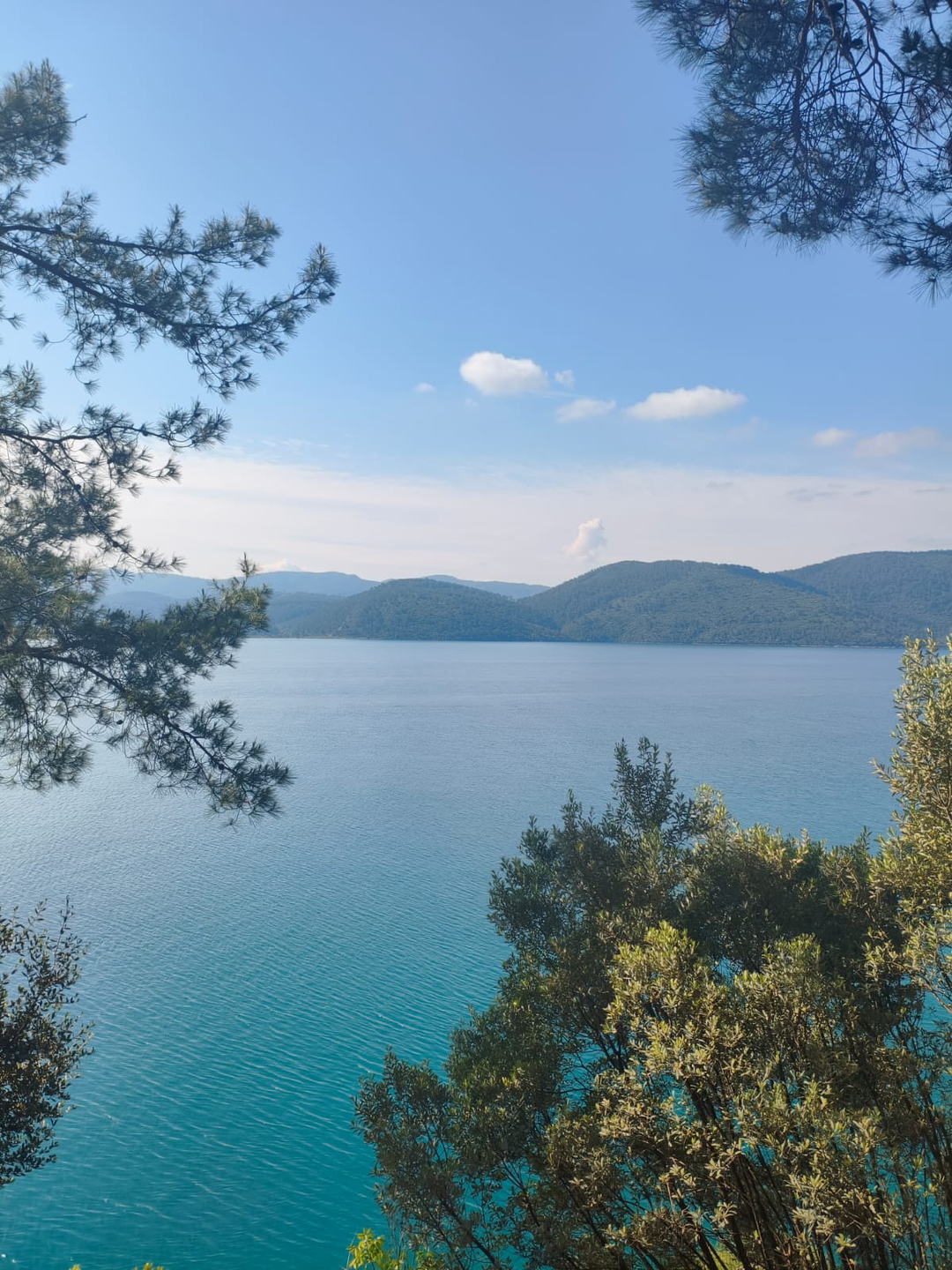 Xdiyebiri