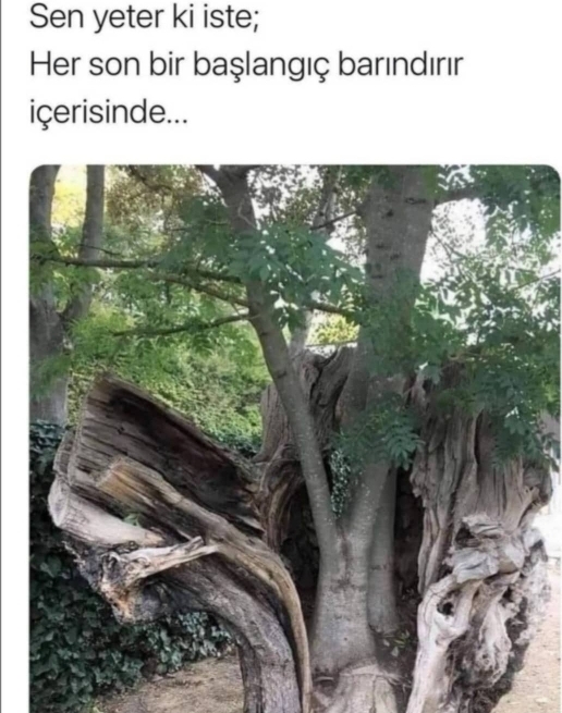 Gün