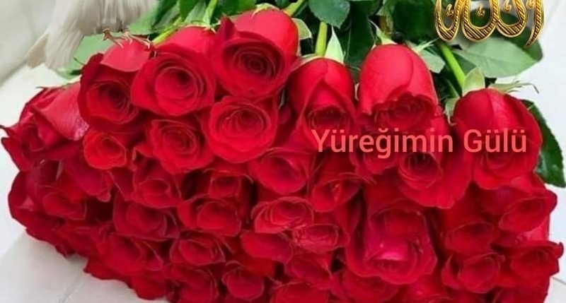 Dilek