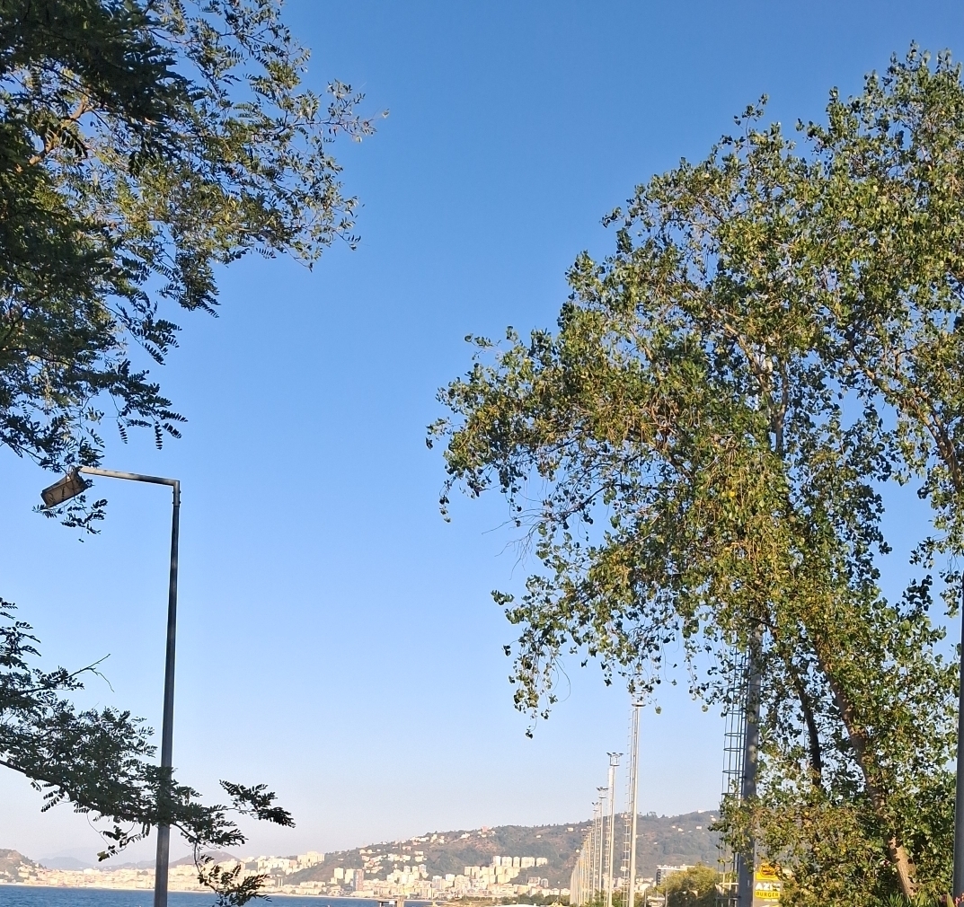 İlker