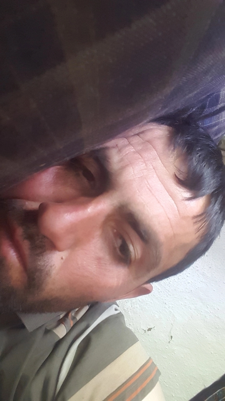 Halil
