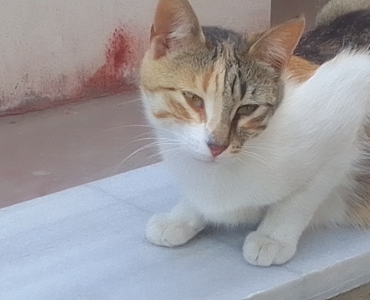 Beren
