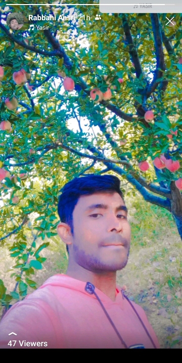 Rabbani