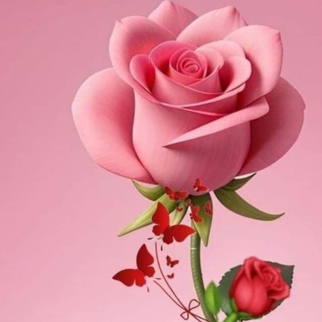 Pura