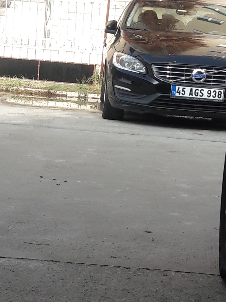Mehmet