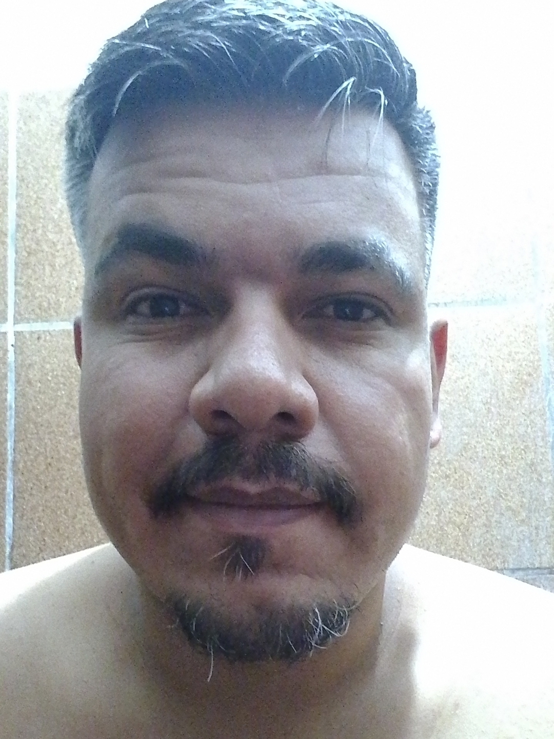 Talvanys
