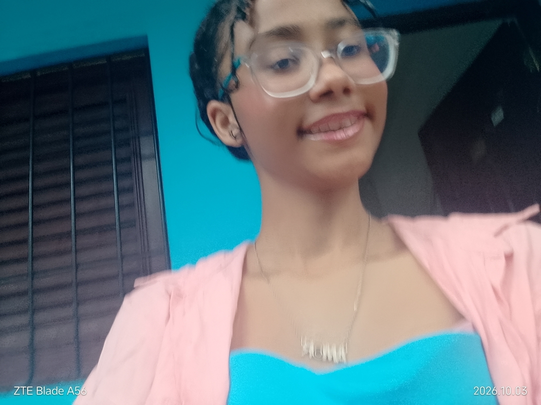 Dashly