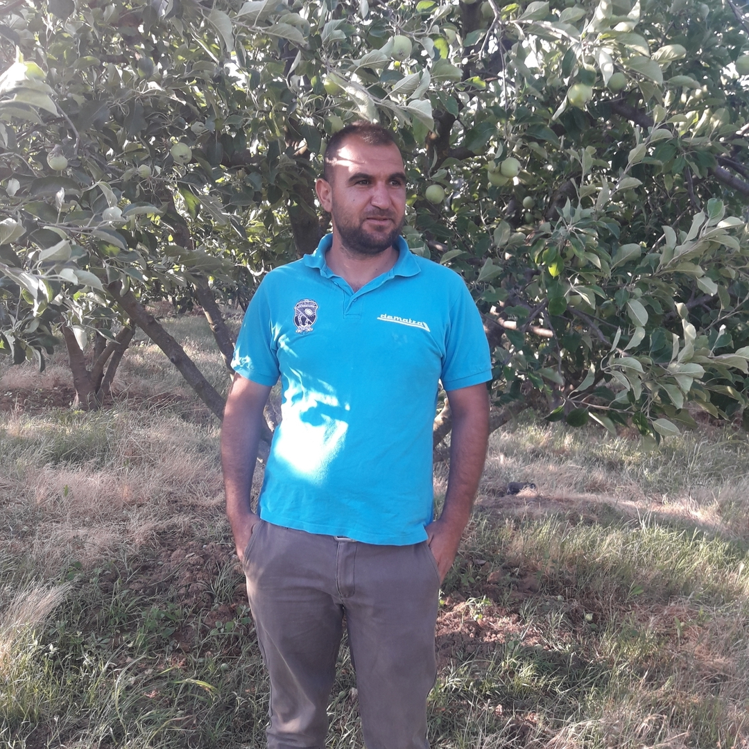 Majed