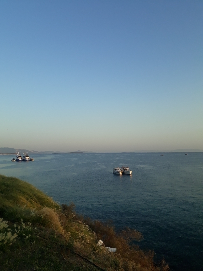 Dilan