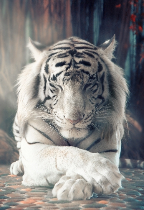 Deepak