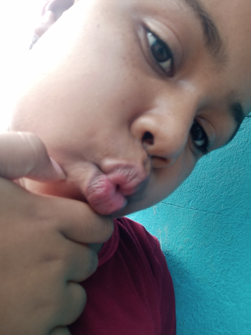 Shelenia