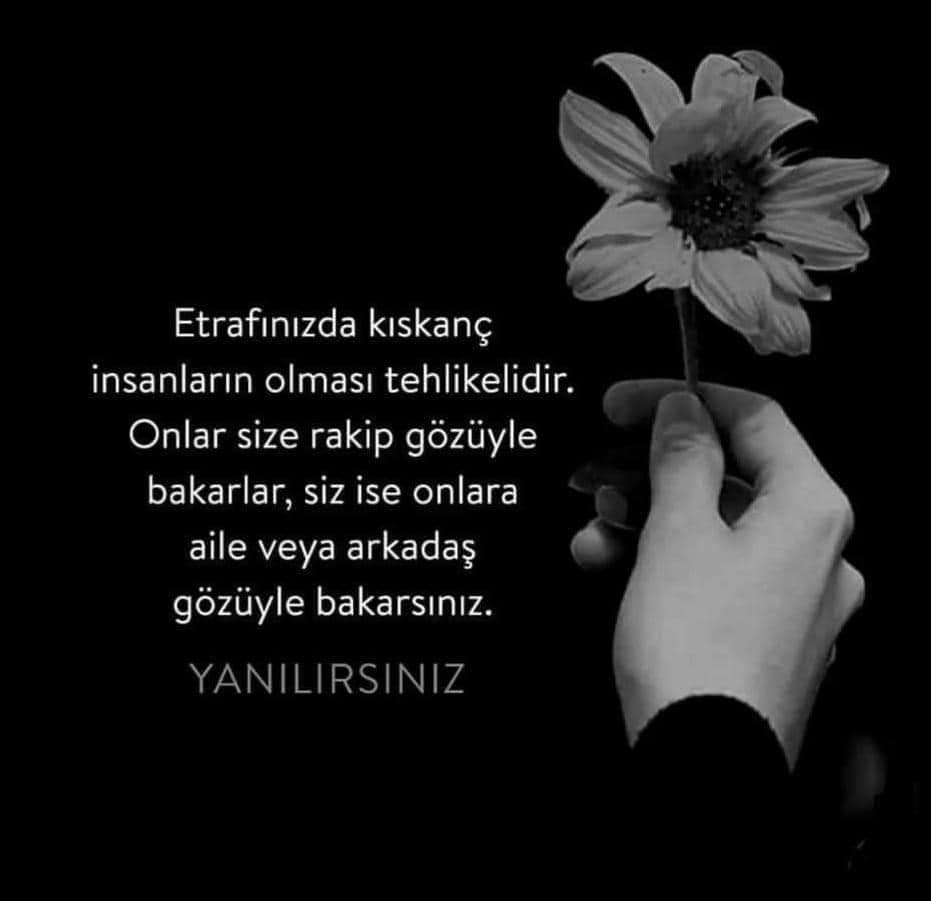 Nur