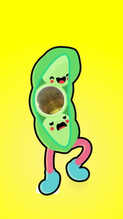 Jucara