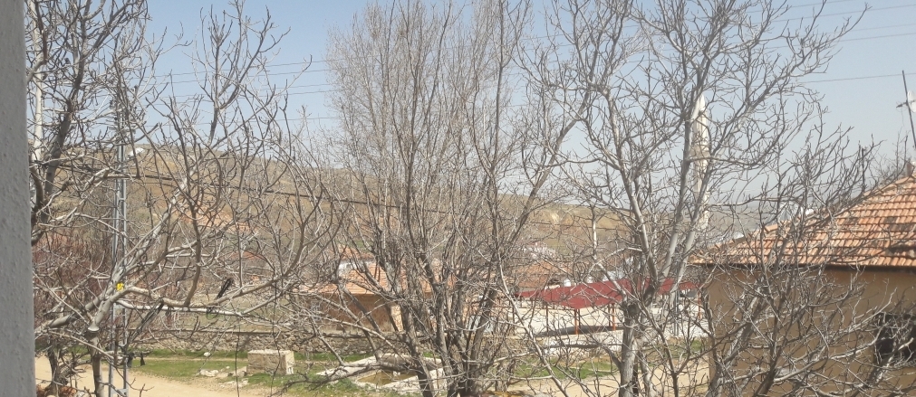 Sevda
