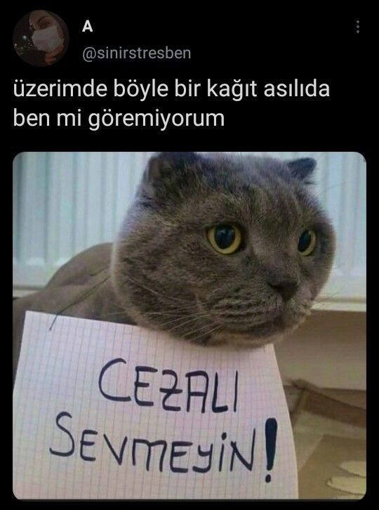 Yusufcan