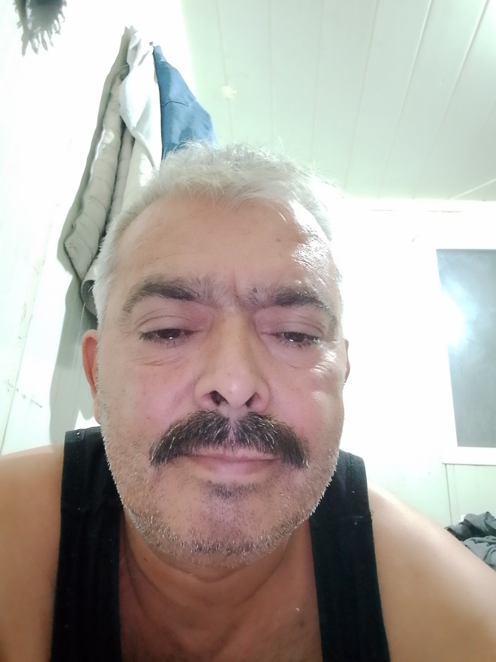 Salih