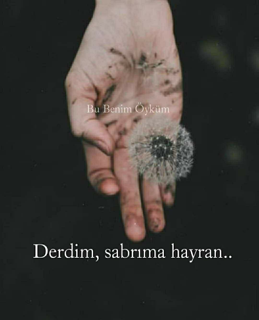 Bahar