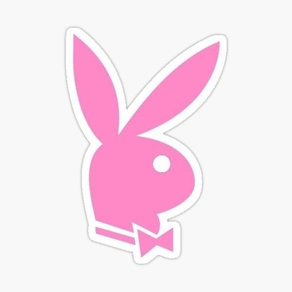 Conejita