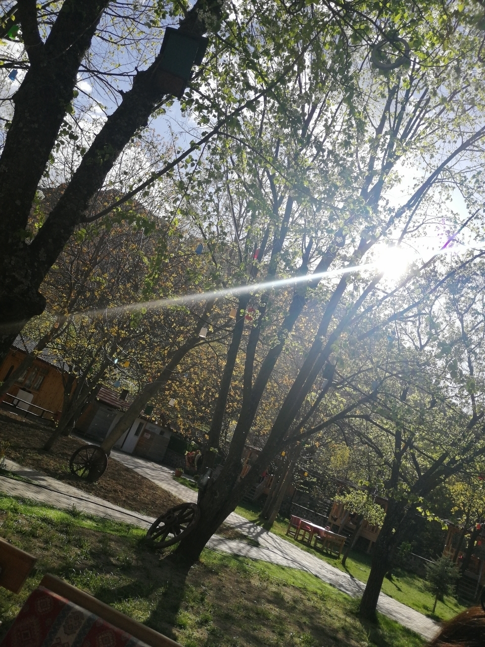 Neşe