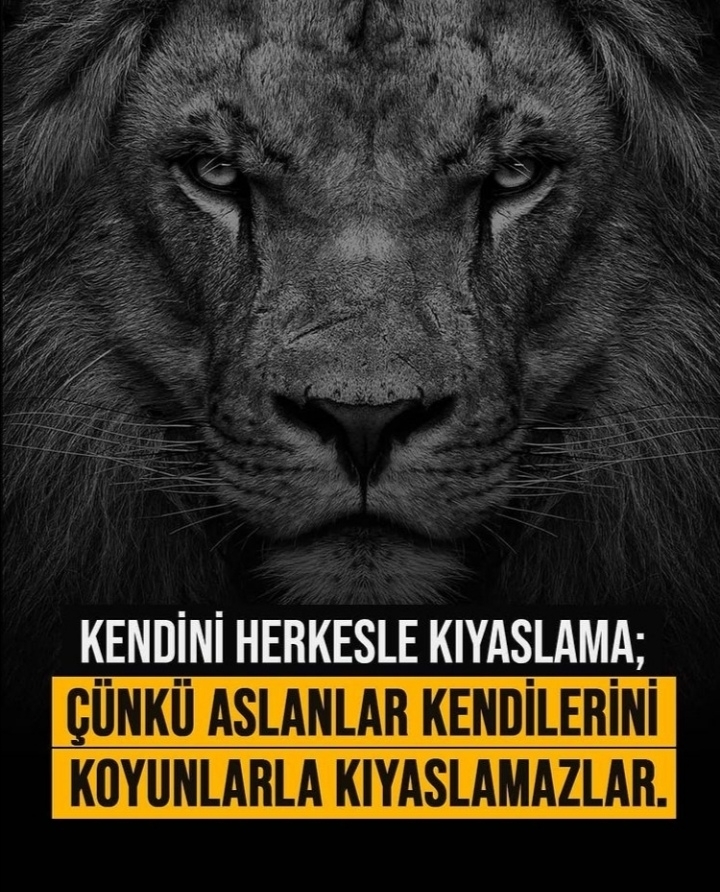 Şubat