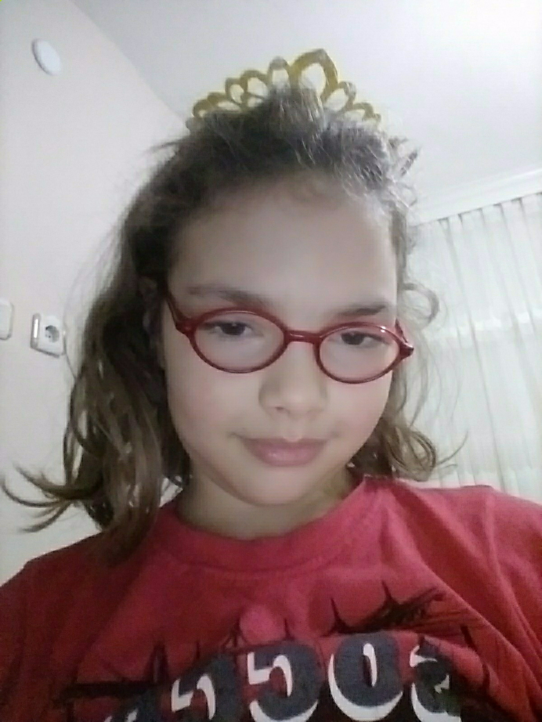 Efsa