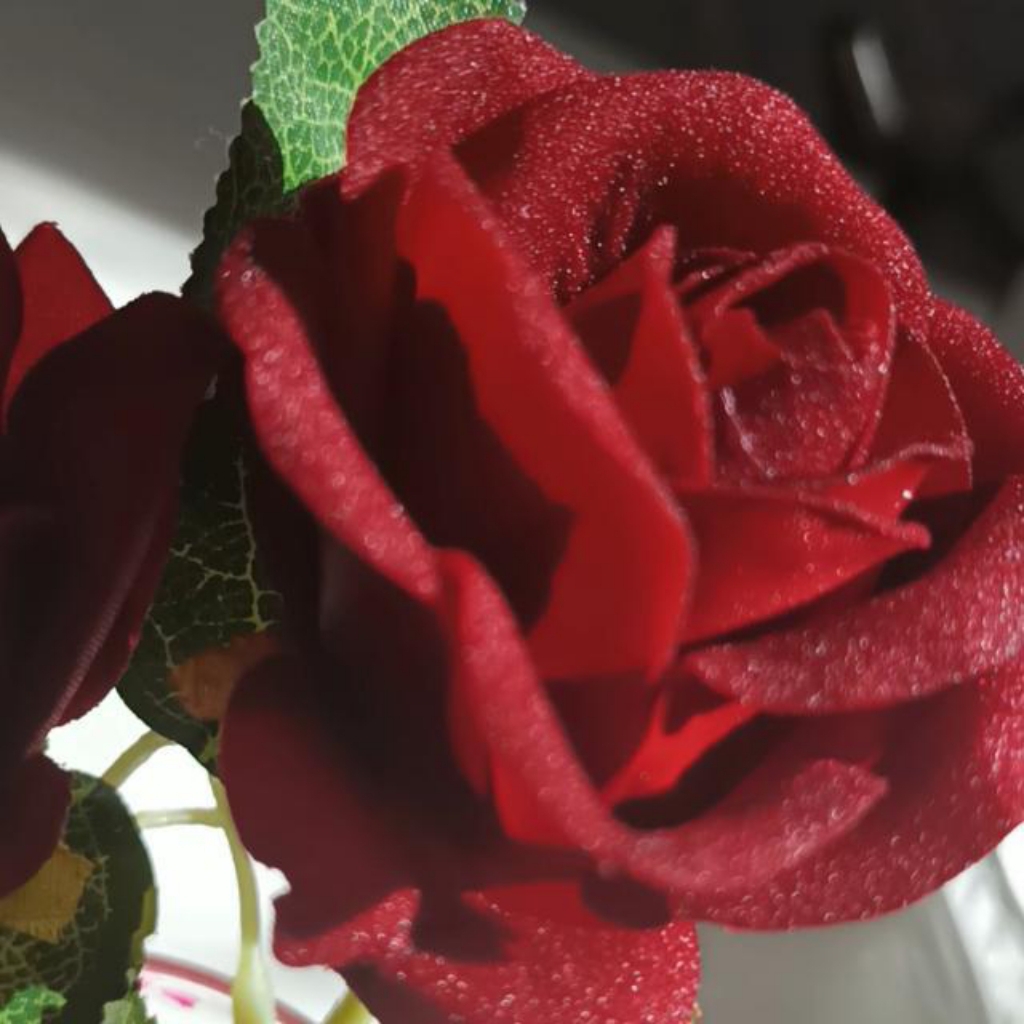 عماد