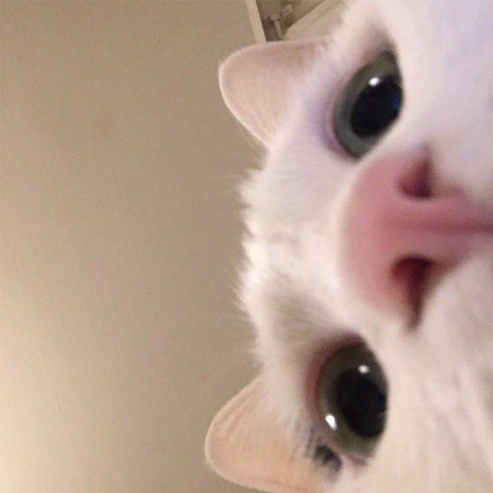 Ms.