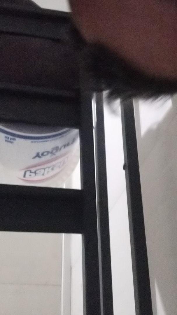Aydın