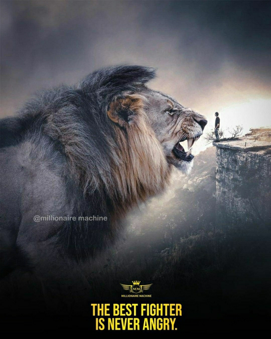 Vijay