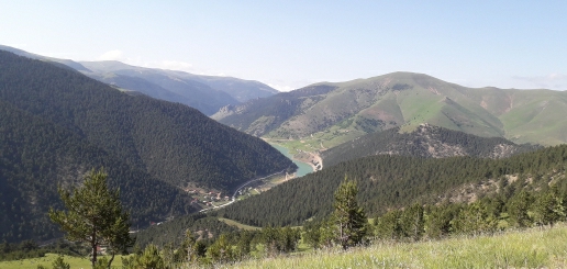 Rukiye