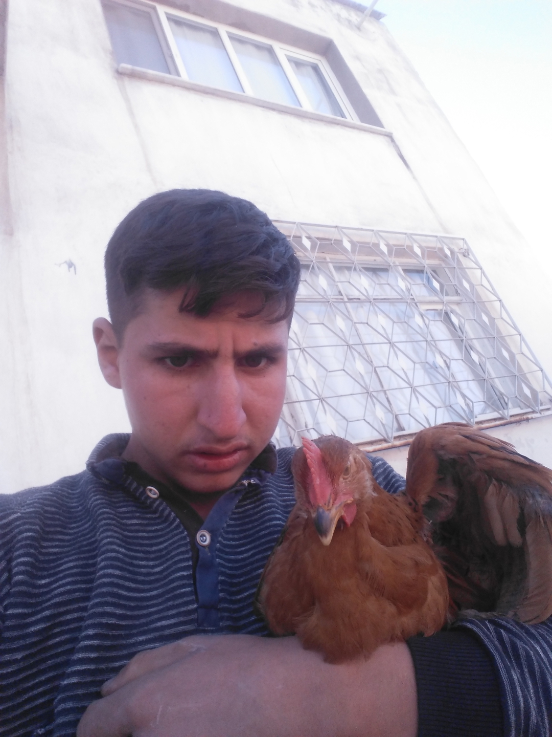 Kayıp