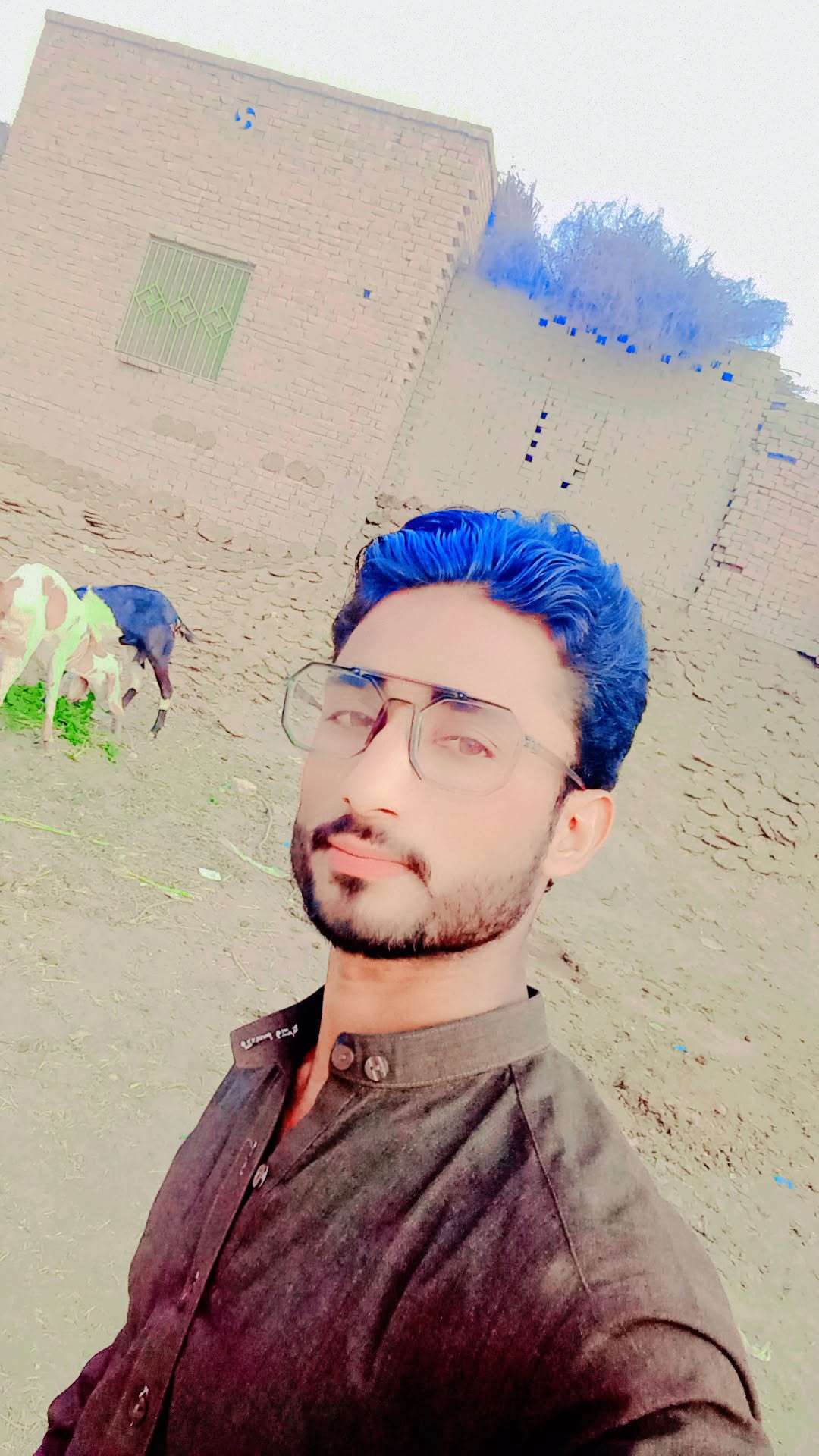 Shazad