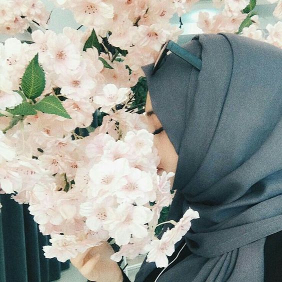 Sehergül